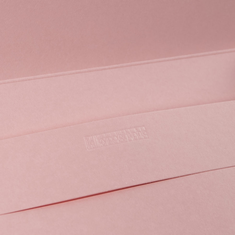 Pack of 5 C6 ENVELOPES - Camellia